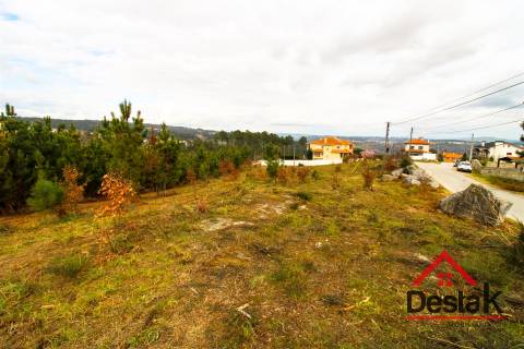 Terreno com 6000 m² e viabilidade de loteamento em Rio de Loba