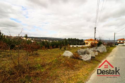 Terreno com 6000 m² e viabilidade de loteamento em Rio de Loba