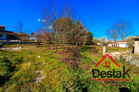 Terreno com 5000 m² para construção em Viseu