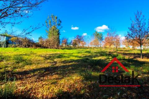 Terreno com 5000 m² para construção em Viseu