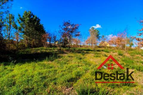 Terreno com 5000 m² para construção em Viseu