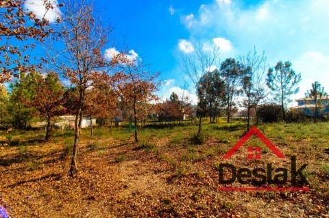 Terreno com 5000 m² para construção em Viseu