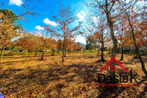 Terreno com 5000 m² para construção em Viseu