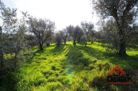 Lote de Terreno para construção