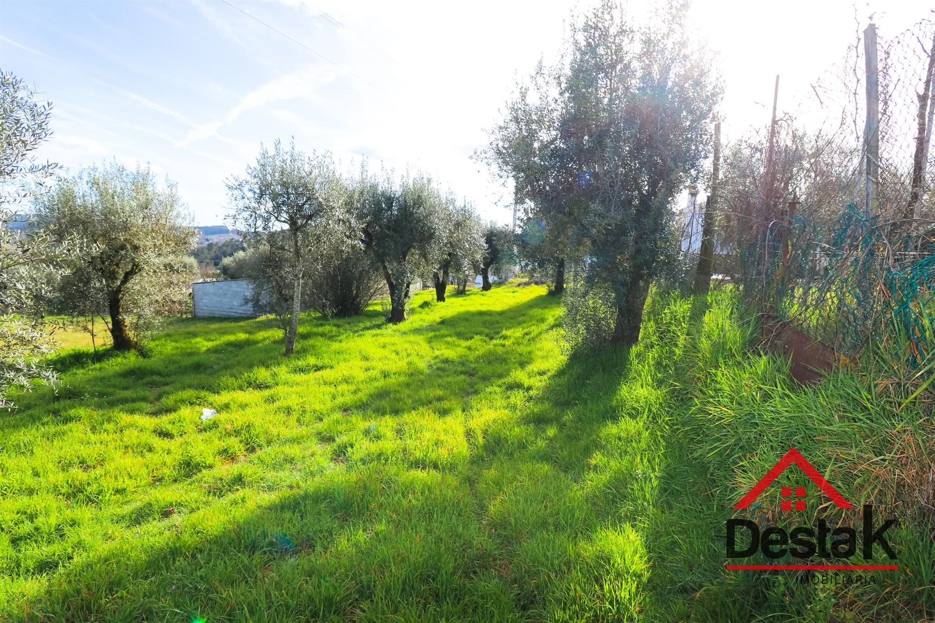 Lote de Terreno para construção