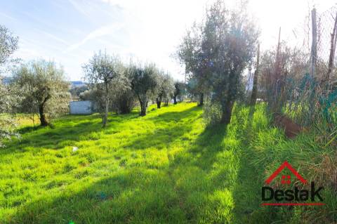 Lote de Terreno para construção