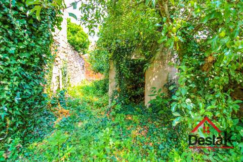 Terreno com moradia em ruína para reconstrução a 10 minutos do Centro de Viseu