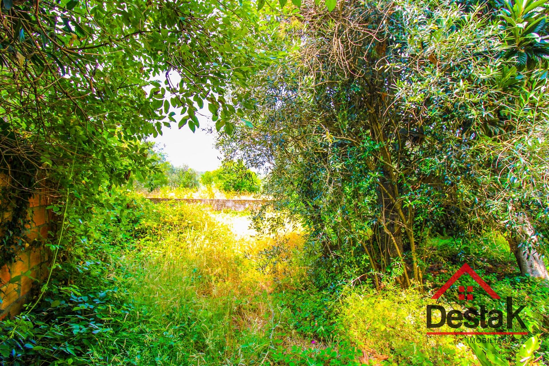 Terreno com moradia em ruína para reconstrução a 10 minutos do Centro de Viseu