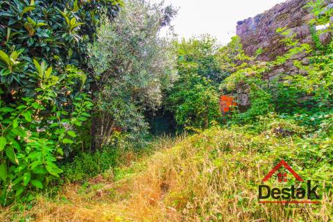 Terreno com moradia em ruína para reconstrução a 10 minutos do Centro de Viseu
