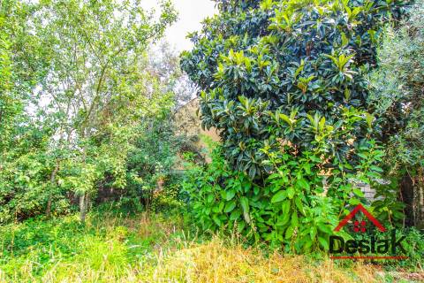 Terreno com moradia em ruína para reconstrução a 10 minutos do Centro de Viseu