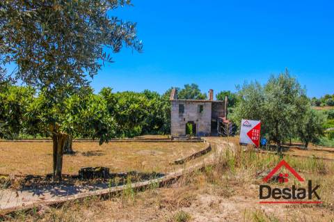 Terreno Rústico em Lajeosa do Dão, Tondela