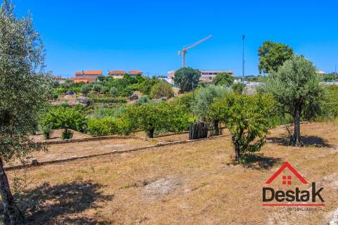 Terreno Rústico em Lajeosa do Dão, Tondela