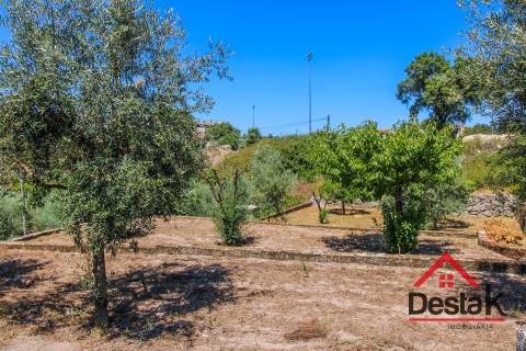 Terreno Rústico em Lajeosa do Dão, Tondela