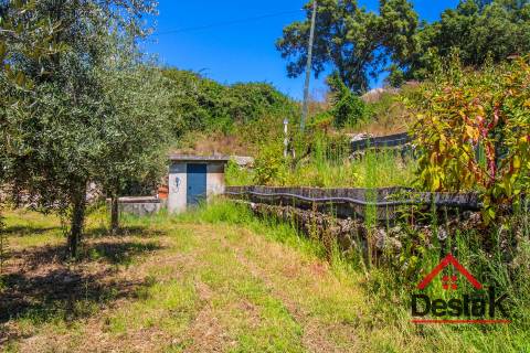 Terreno Rústico em Lajeosa do Dão, Tondela