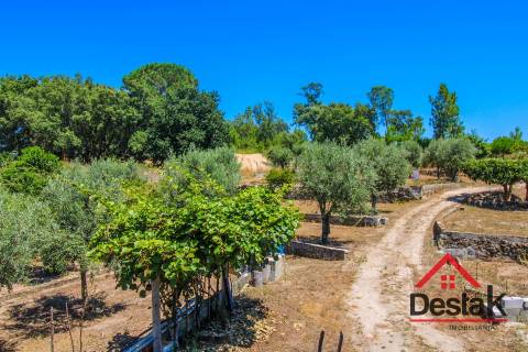 Terreno Rústico em Lajeosa do Dão, Tondela