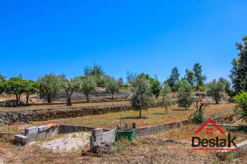Terreno Rústico em Lajeosa do Dão, Tondela