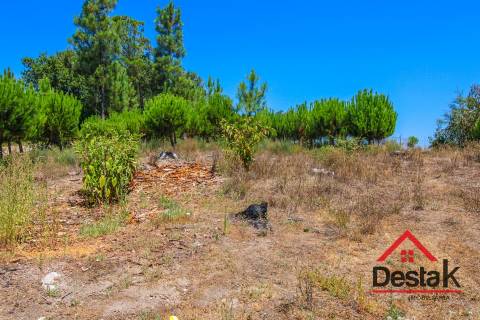 Terreno Rústico em Lajeosa do Dão, Tondela