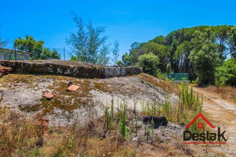 Terreno Rústico em Lajeosa do Dão, Tondela