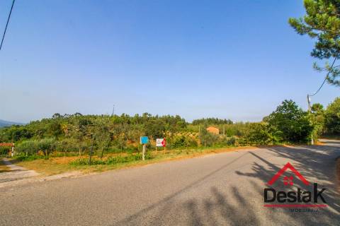 Terreno Rústico com viabilidade de construção em Tourigo, Barreiro de Besteiros.
