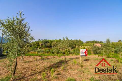 Terreno Rústico com viabilidade de construção em Tourigo, Barreiro de Besteiros.