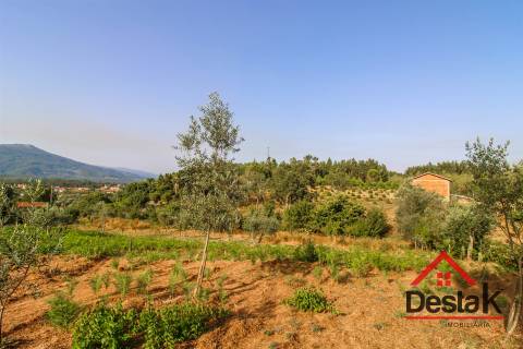 Terreno Rústico com viabilidade de construção em Tourigo, Barreiro de Besteiros.