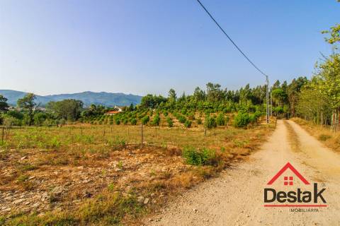 Terreno Rústico com viabilidade de construção em Tourigo, Barreiro de Besteiros.