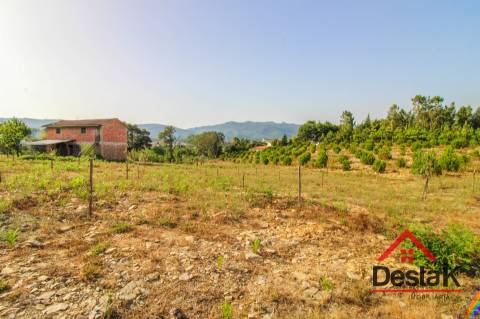 Terreno Rústico com viabilidade de construção em Tourigo, Barreiro de Besteiros.