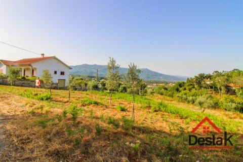 Terreno Rústico com viabilidade de construção em Tourigo, Barreiro de Besteiros.