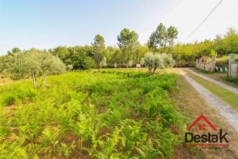 Terreno Rústico com viabilidade de construção em Tourigo, Barreiro de Besteiros.