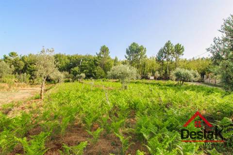 Terreno Rústico com viabilidade de construção em Tourigo, Barreiro de Besteiros.