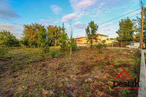 Terreno para construção a 10 minutos do centro de Viseu