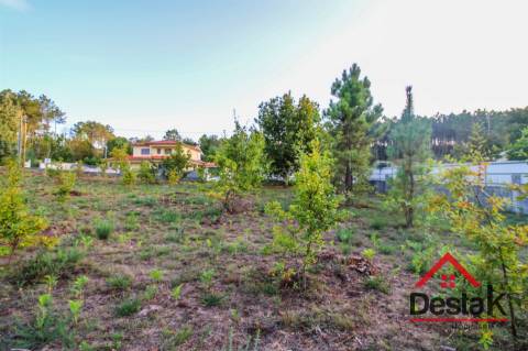Terreno para construção a 10 minutos do centro de Viseu
