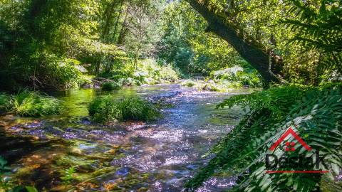 Terreno com 1,7ha em S. João de Lourosa Viseu