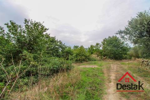 Terreno com 1,7ha em S. João de Lourosa Viseu