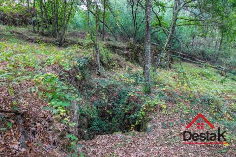 Terreno com 1,7ha em S. João de Lourosa Viseu