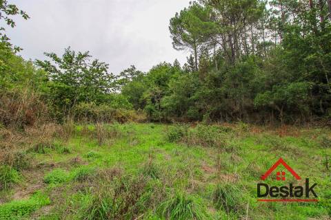 Terreno com 1,7ha em S. João de Lourosa Viseu