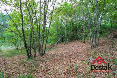 Terreno com 1,7ha em S. João de Lourosa Viseu