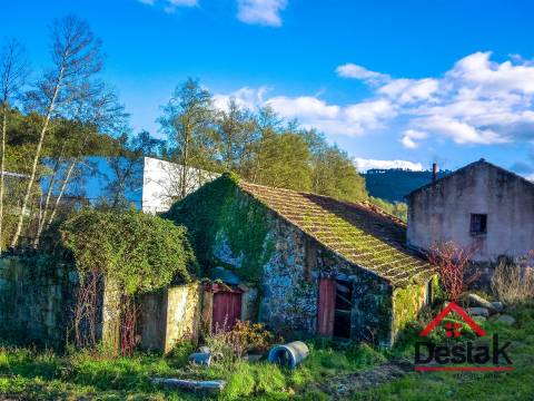 Quintinha à beira rio, com casa (antigo moinho) para reconstrução e 3000 m ² de terreno