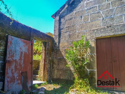 Quinta histórica em Viseu