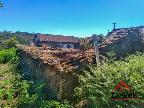 Quinta histórica em Viseu