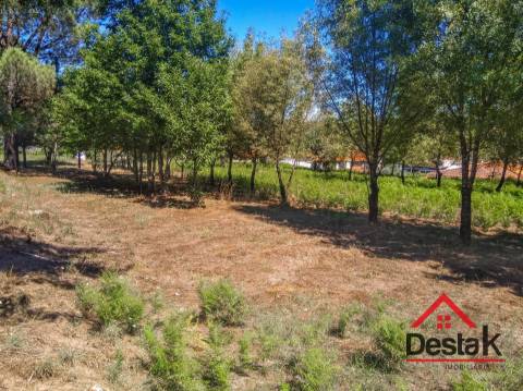 Quinta histórica em Viseu