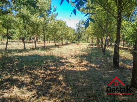 Quinta histórica em Viseu