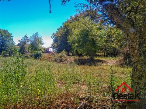 Quinta histórica em Viseu