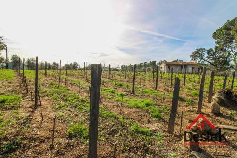 Quinta Vinhateira na região do Dão em Passos de Silgueiros