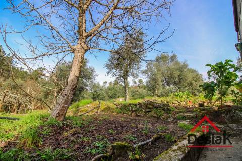 Terreno Rústico à venda em Viseu
