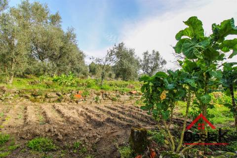 Terreno Rústico à venda em Viseu