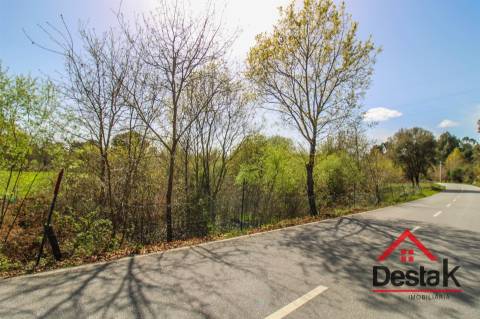 Terreno Rustico Para Agricultura em Ribafeita