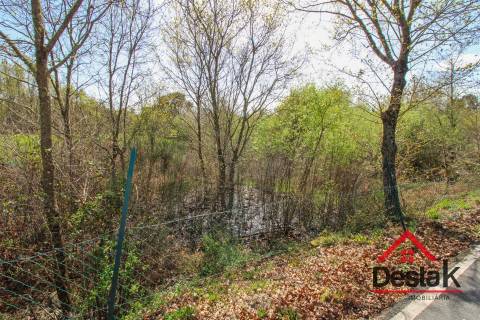 Terreno Rustico Para Agricultura em Ribafeita