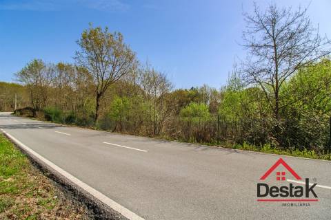Terreno Rustico Para Agricultura em Ribafeita