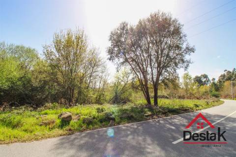 Terreno Rustico Para Agricultura em Ribafeita